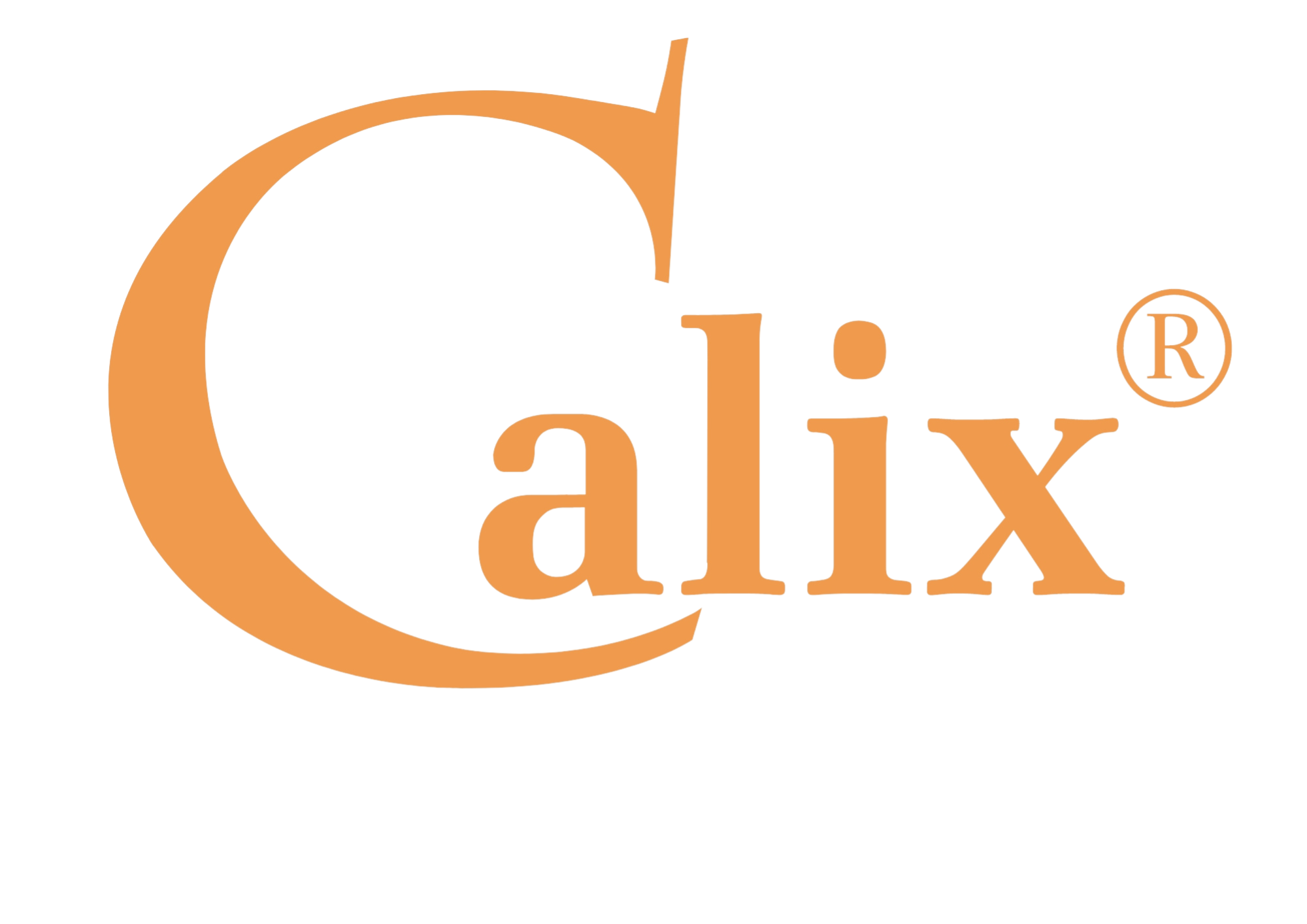 Calix GmbH